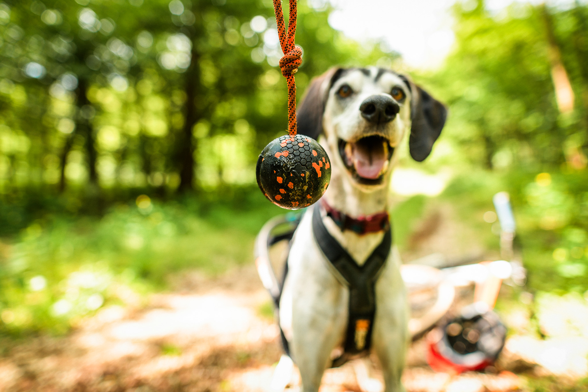 Non-stop Dogwear bold med reb - Image 8