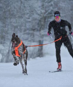 Alternative view of Non-stop Dogwear Løype belt pro