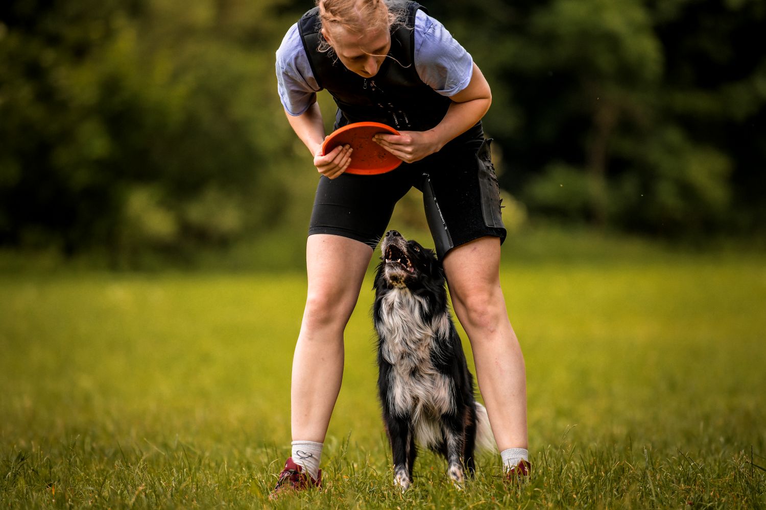 Non-stop Dogwear Flying Disc - Image 4