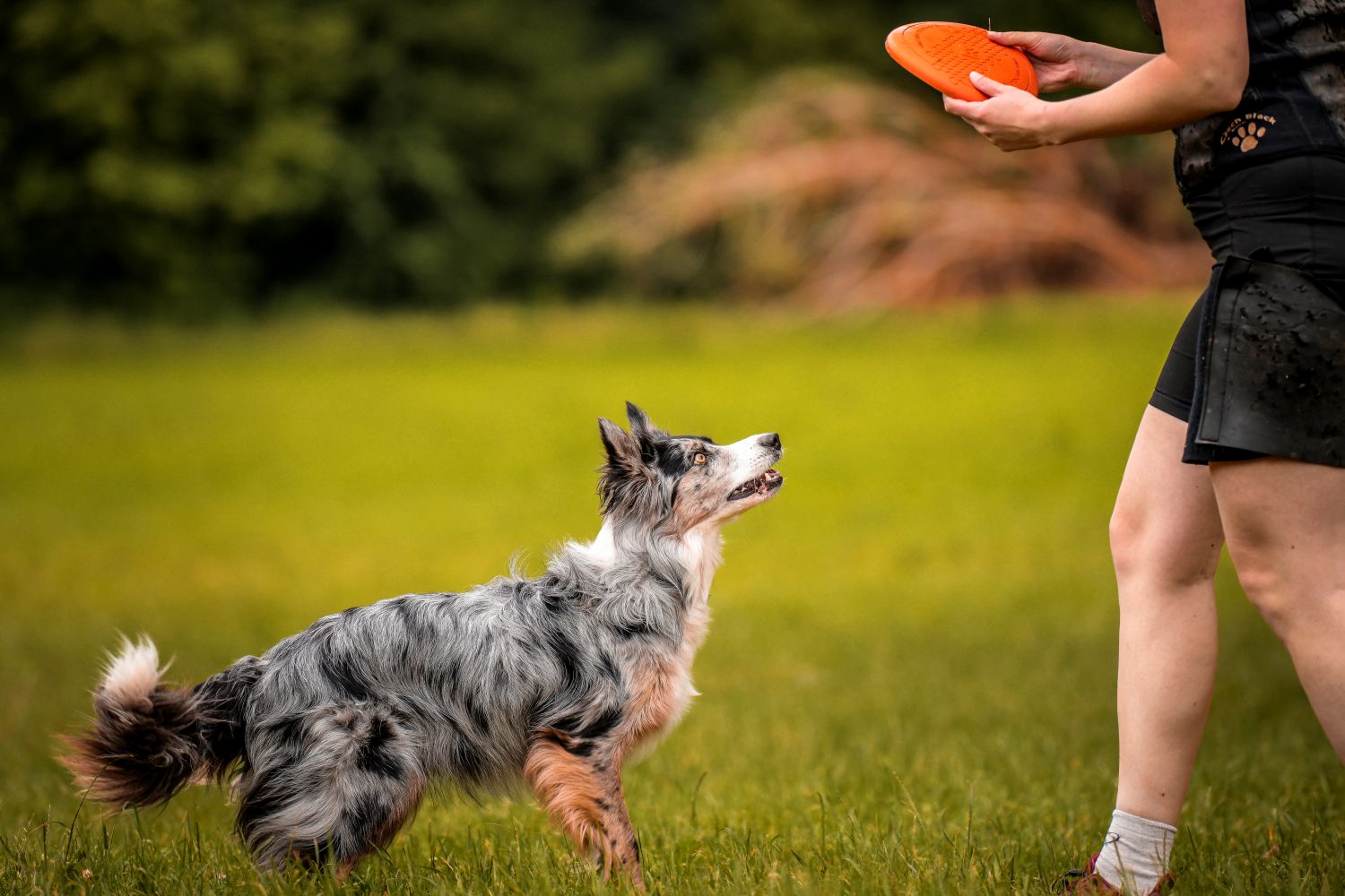 Non-stop Dogwear Flying Disc - Image 3