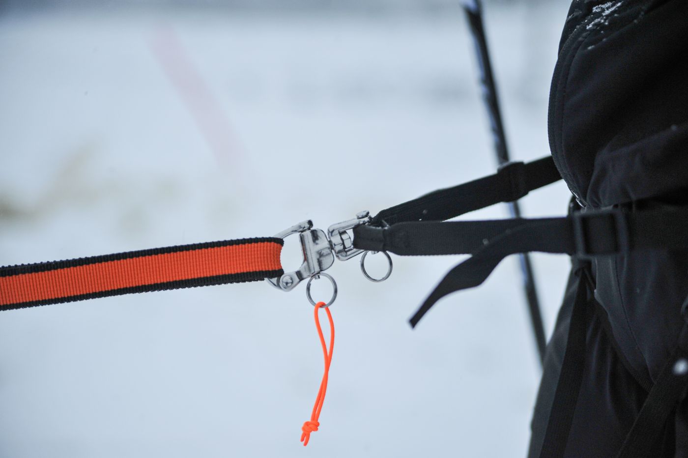Non-stop Dogwear Løype belt pro - Image 5