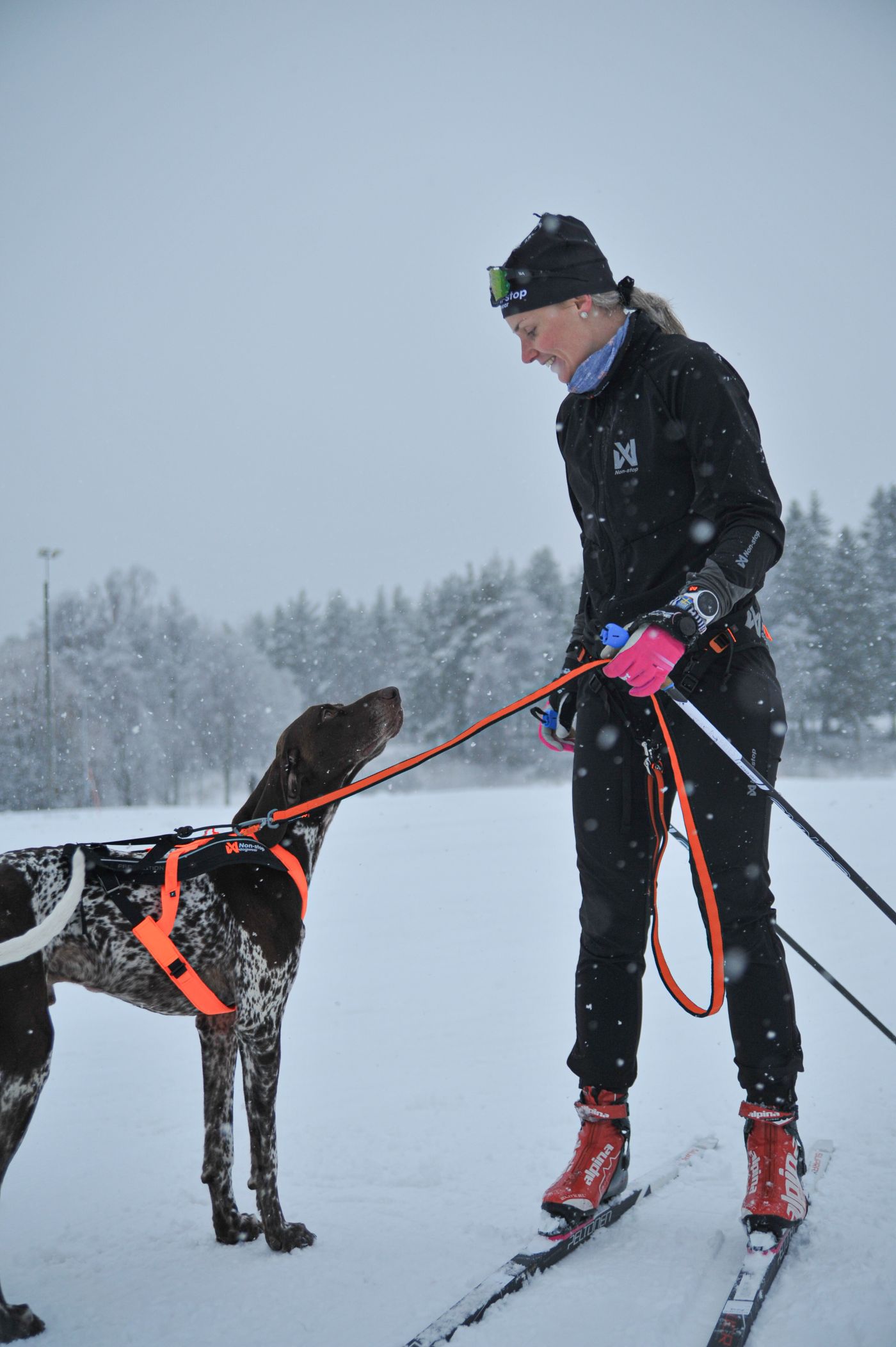 Non-stop Dogwear Løype belt pro - Image 8