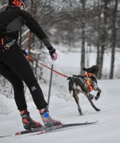 Non-stop Dogwear Løype belt pro - Image 9