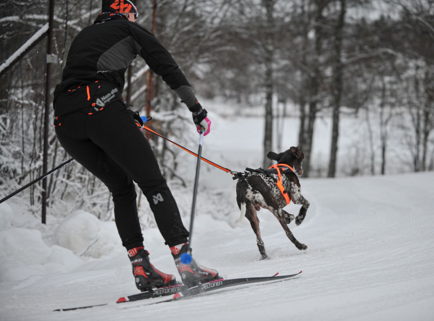 Non-stop Dogwear Løype belt pro - Image 9