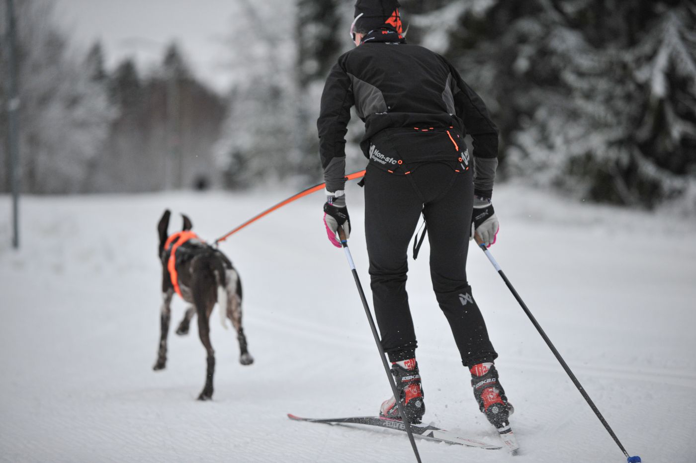 Non-stop Dogwear Løype belt pro - Image 4