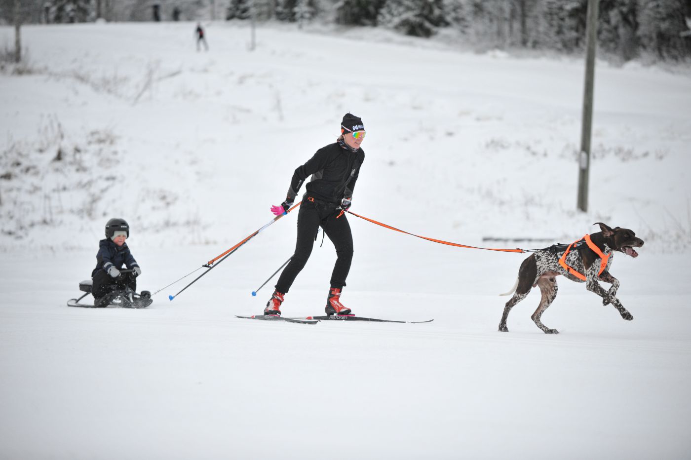 Non-stop Dogwear Løype belt pro - Image 10