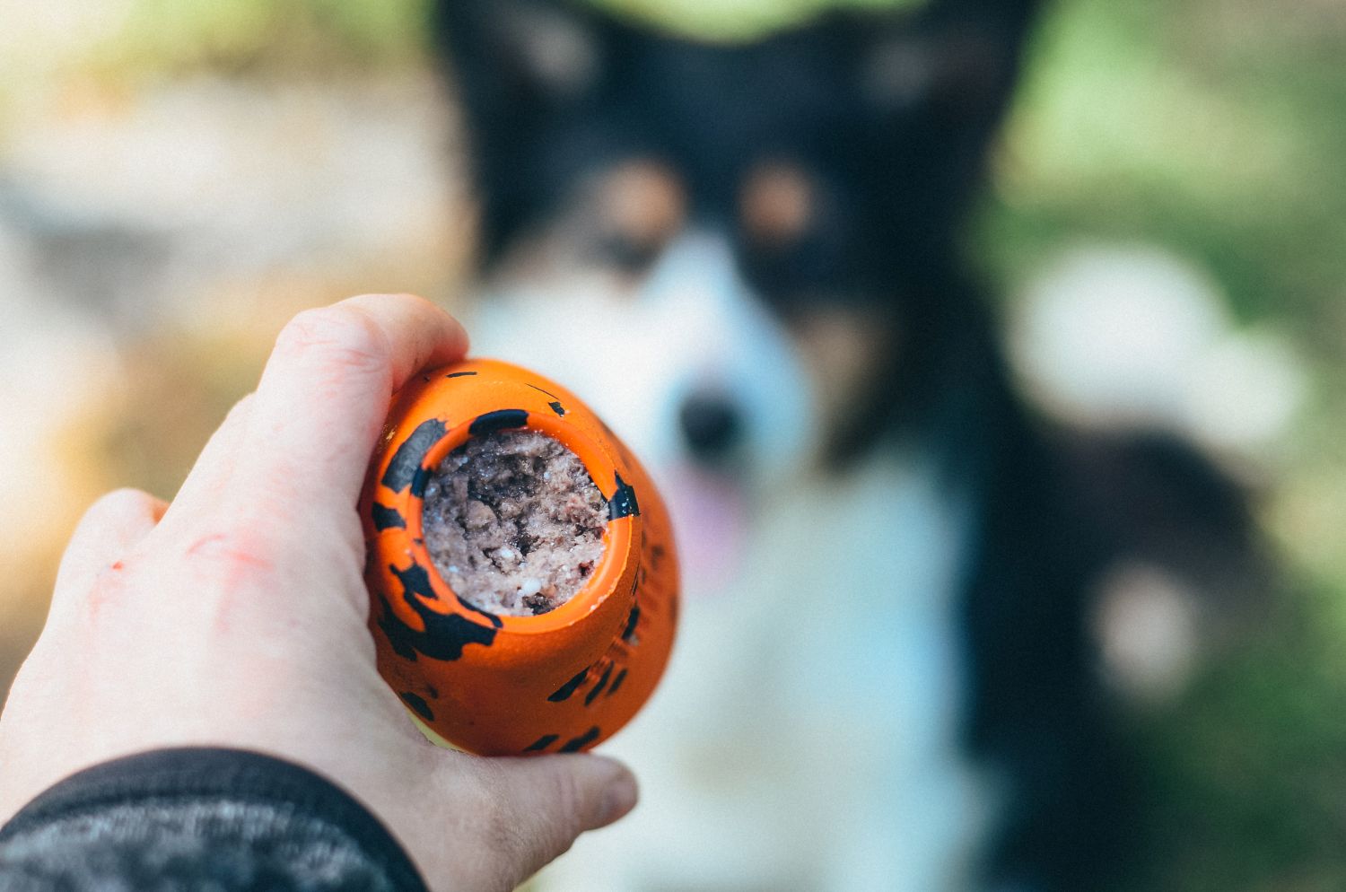 Non-stop Dogwear throw toy - Image 6