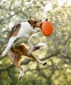 Non-stop Dogwear Flying Disc - Image 5