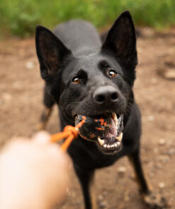 Non-stop Dogwear bold med reb - Image 3