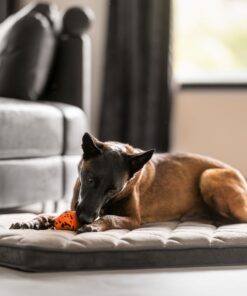 Non-stop Dogwear throw toy - Image 3