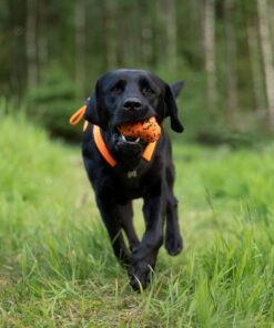 Non-stop Dogwear throw toy - Image 5