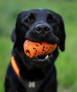 Non-stop Dogwear throw toy - Image 4