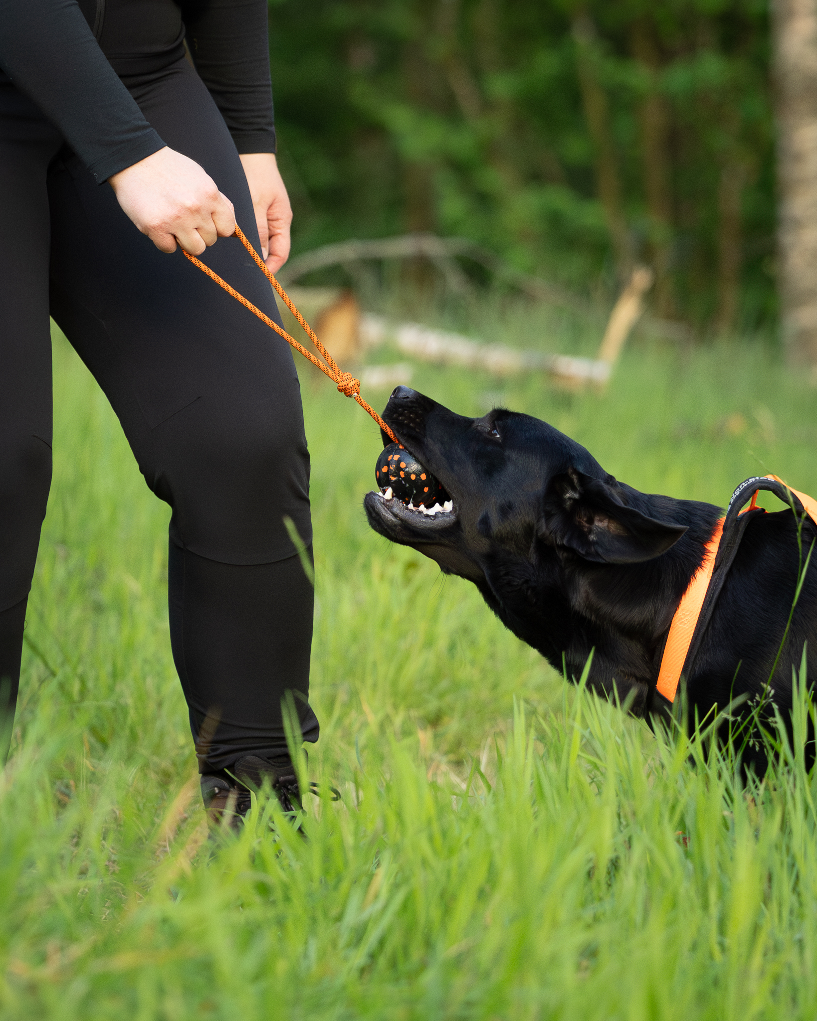 Non-stop Dogwear bold med reb - Image 9