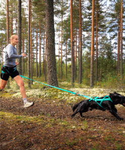 Alternative view of Non-stop Dogwear Canicross sæt 5.0 M-L aqua