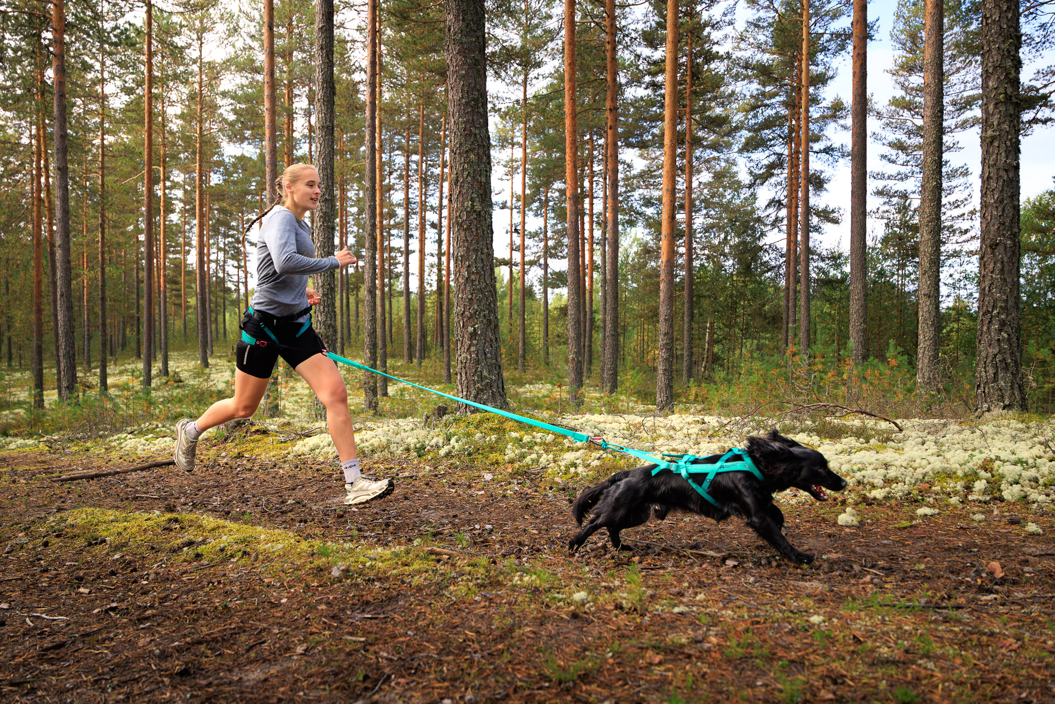 Non-stop Dogwear Freemotion Harness 5.0 - Image 21