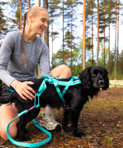 Non-stop Dogwear Freemotion Harness 5.0 - Image 11