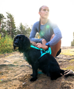 Non-stop Dogwear Freemotion Harness 5.0 - Image 22