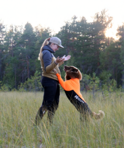 Non-stop Dogwear protector suit - Image 4