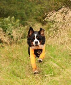 Alternative view of Non-stop Dogwear protector suit