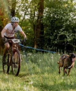 Alternative view of Inlandsis Bikejor MAX UL cykelantenne