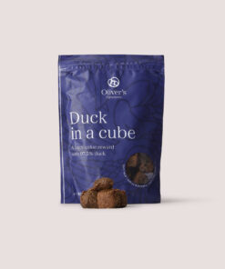 Signature Duck in a cube