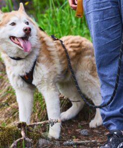 Non-stop Dogwear Rock adjustable leash - Image 4