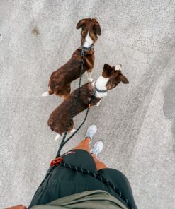 Non-stop Dogwear Rock adjustable leash - Image 3