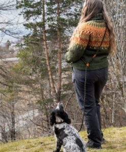 Alternative view of Non-stop Dogwear Rock adjustable leash