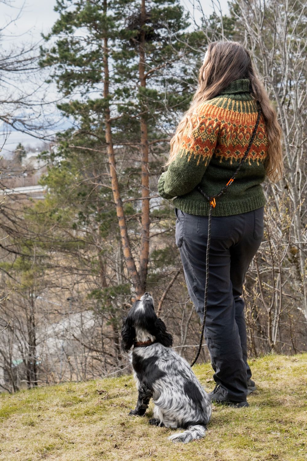 Non-stop Dogwear Rock adjustable leash - Image 2