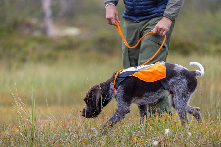 Non-stop Dogwear Protector Cover 2.0 - Image 9
