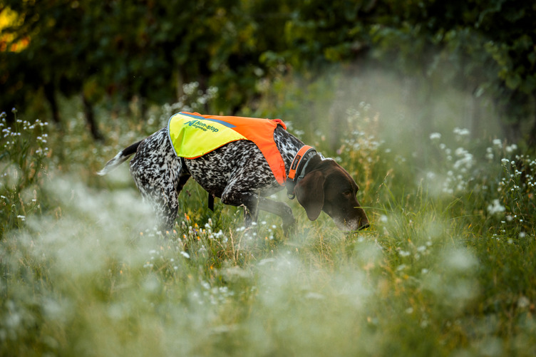 Non-stop Dogwear Protector Cover 2.0 - Image 4