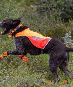 Non-stop Dogwear Protector Cover 2.0 - Image 5