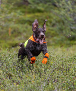 Non-stop Dogwear Protector Cover 2.0 - Image 8