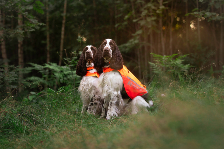 Non-stop Dogwear Protector Cover 2.0 - Image 6