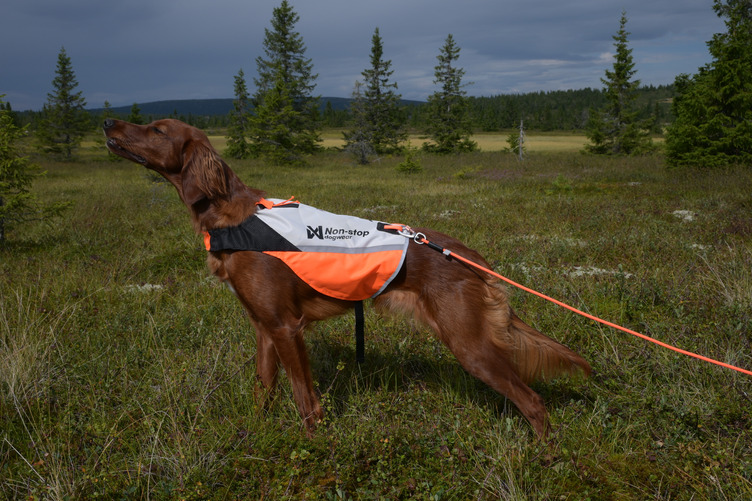 Non-stop Dogwear Protector Cover 2.0 - Image 3