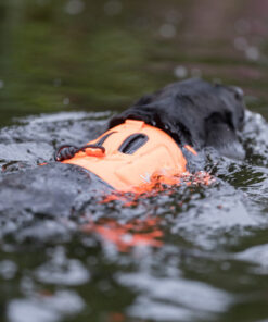 Non-stop Dogwear Protector Neoprene Vest - Image 6