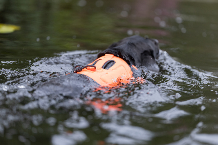 Non-stop Dogwear Protector Neoprene Vest - Image 6