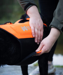 Non-stop Dogwear Protector Neoprene Vest - Image 9