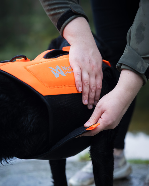 Non-stop Dogwear Protector Neoprene Vest - Image 9