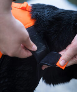 Non-stop Dogwear Protector Neoprene Vest - Image 8