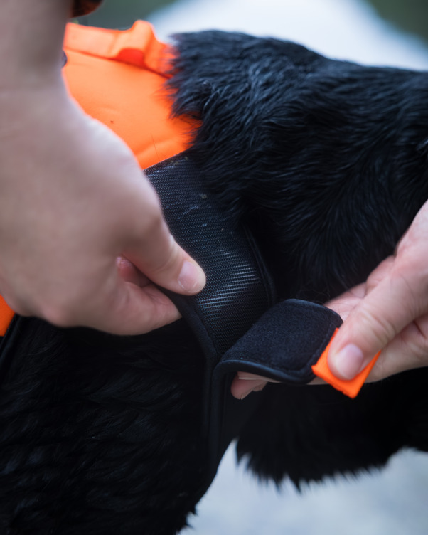 Non-stop Dogwear Protector Neoprene Vest - Image 8
