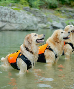 Non-stop Dogwear Protector Neoprene Vest - Image 4