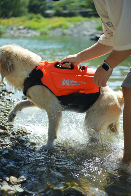 Non-stop Dogwear Protector Neoprene Vest - Image 3