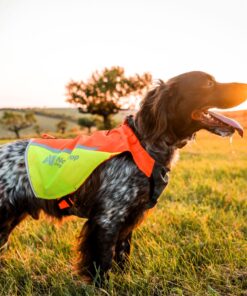 Non-stop Dogwear protector vest 2.0 - Image 3