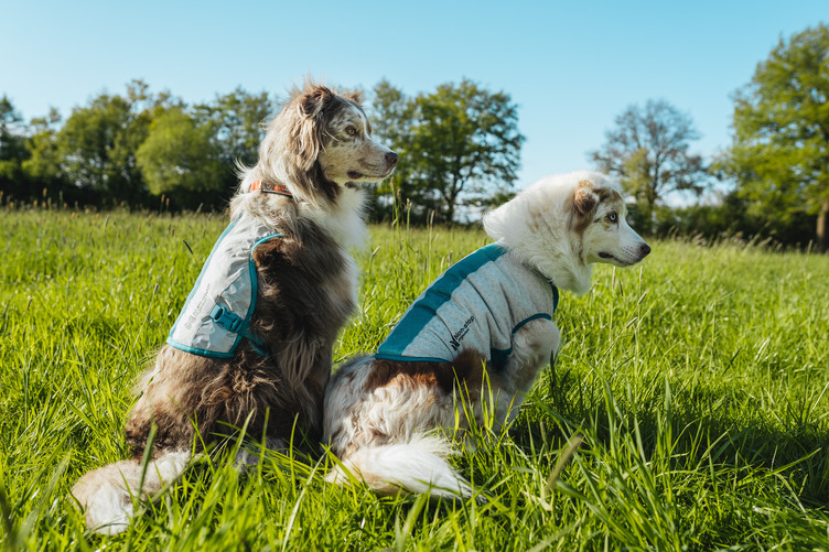 Non-stop Dogwear Cooling pull-on vest - Image 3