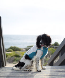 Non-stop Dogwear Cooling pull-on vest - Image 9