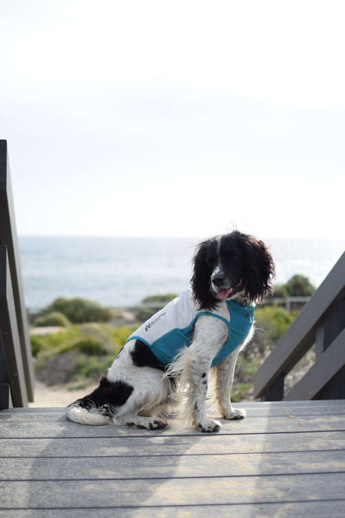 Non-stop Dogwear Cooling pull-on vest - Image 9