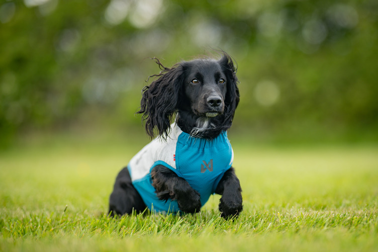 Non-stop Dogwear Cooling pull-on vest - Image 2