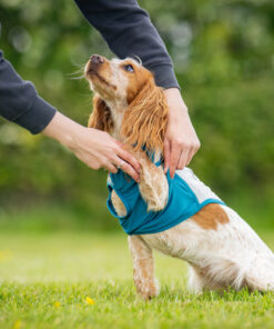 Non-stop Dogwear Cooling pull-on vest - Image 7