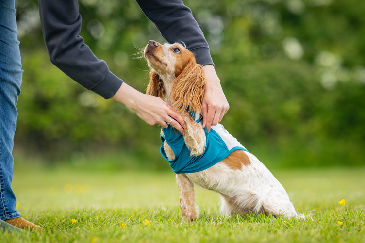 Non-stop Dogwear Cooling pull-on vest - Image 7